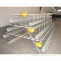 Poultry Equipment Chicken Layer Cage